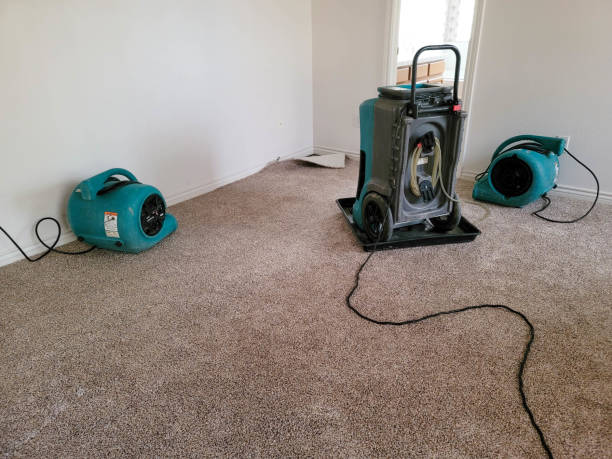 Water damage restoration